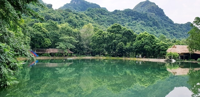 vuon quoc gia cat ba hai phong tuyet pham khi vao thu