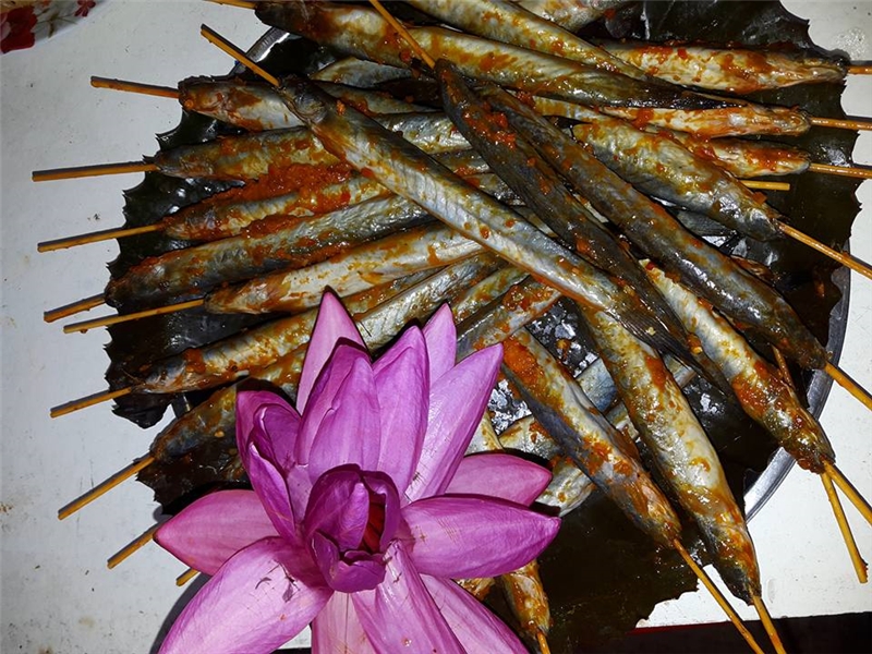 kham pha khu du lich sinh thai vuon chim bac lieu