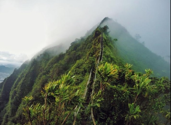 kham pha 20 cau thang ngoan muc nhat the gioi