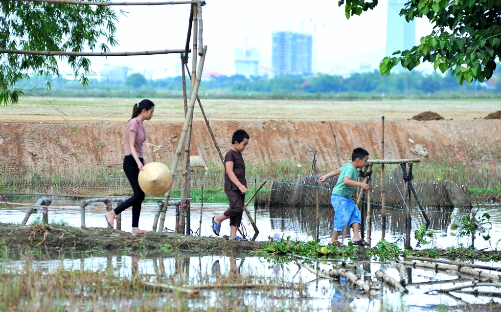 ve thuy thanh lam nong dan thuong thuc san vat dong que