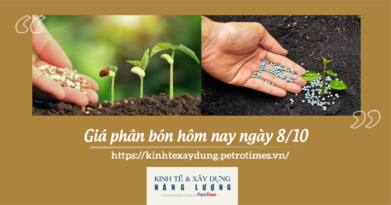 Giá phân bón hôm nay ngày 8/10: Giao dịch ổn định