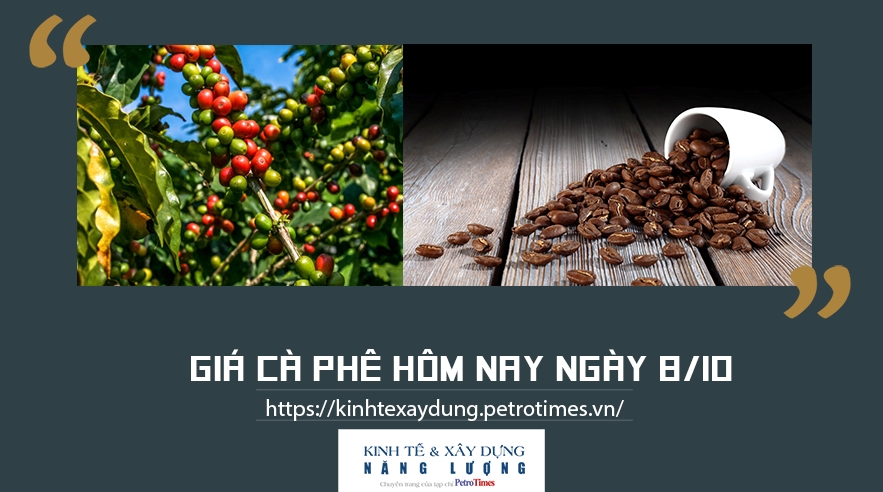 Giá cà phê hôm nay ngày 8/10: Trong nước đi ngang, thế giới tiếp tục tăng