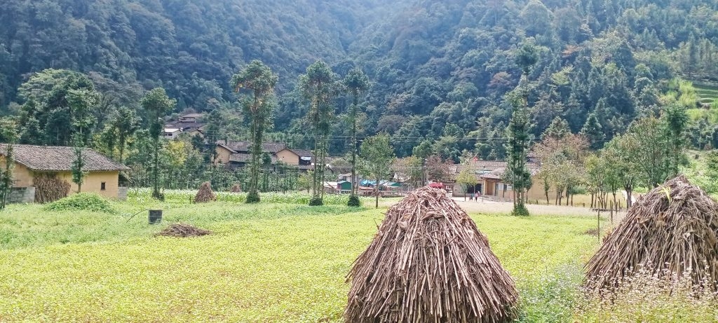 Có một Lũng Cẩm mộng mơ Có một Lũng Cẩm mộng mơ