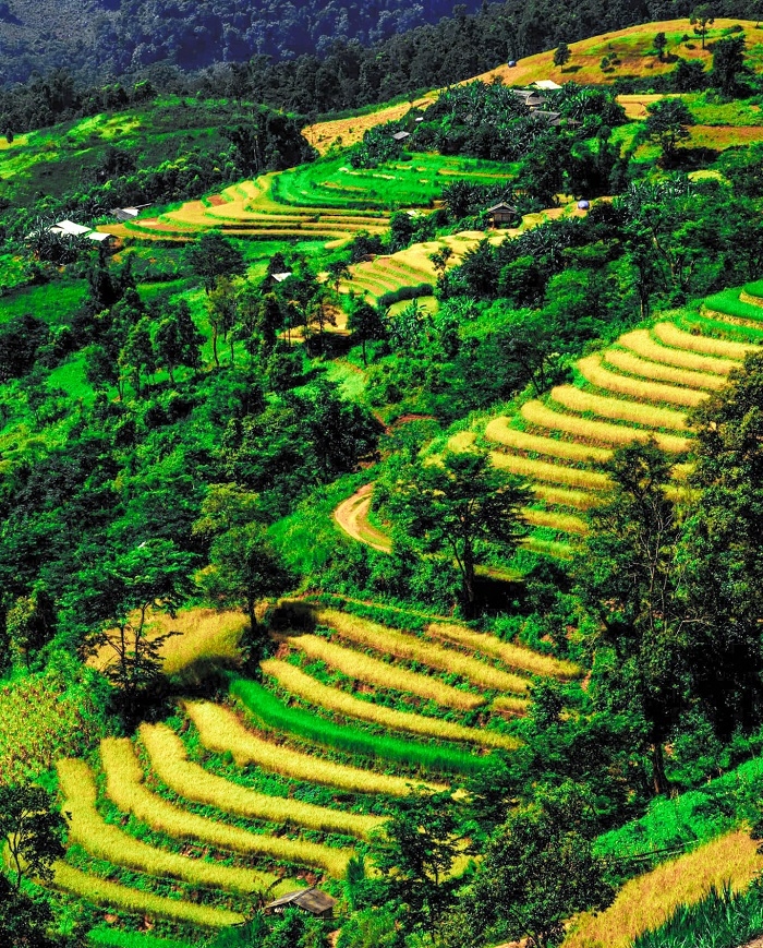 Đẹp nao lòng trên những thửa ruộng bậc thang Tủa Chùa Đẹp nao lòng trên những thửa ruộng bậc thang Tủa Chùa