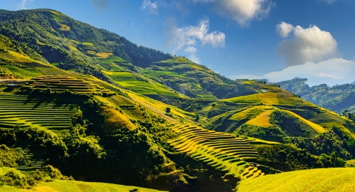 Đẹp nao lòng trên những thửa ruộng bậc thang Tủa Chùa Đẹp nao lòng trên những thửa ruộng bậc thang Tủa Chùa