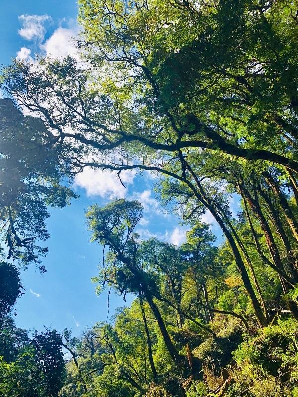 Đánh thức tiềm năng du lịch Văn Bàn - Lào Cai Đánh thức tiềm năng du lịch Văn Bàn - Lào Cai