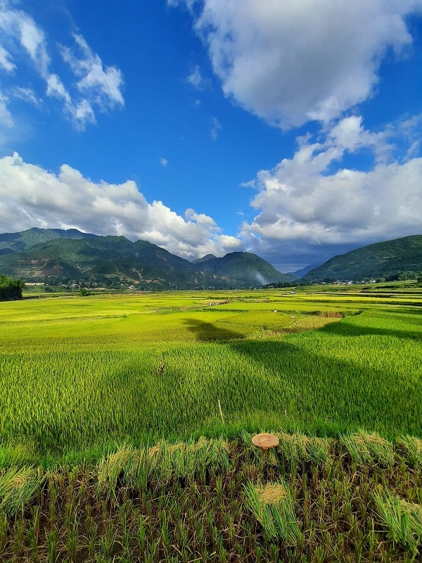 Đánh thức tiềm năng du lịch Văn Bàn - Lào Cai Đánh thức tiềm năng du lịch Văn Bàn - Lào Cai