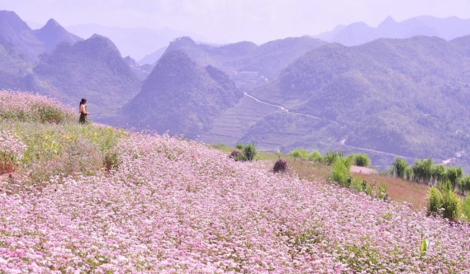 Top 9 điểm checkin ở Hà Giang nhất định phải thử