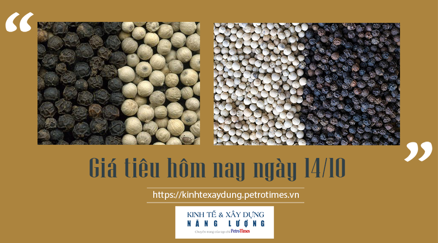 Giá tiêu hôm nay ngày 14/10: Vẫn giữ đà tăng