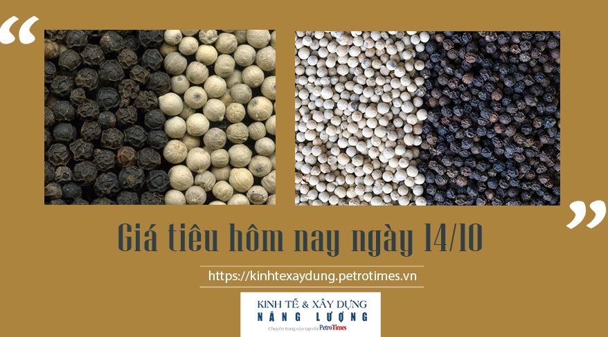 Giá tiêu hôm nay ngày 14/10: Vẫn giữ đà tăng
