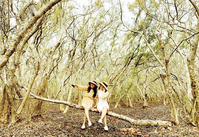 Phát triển du lịch vùng đầm phá ven biển Phát triển du lịch vùng đầm phá ven biển