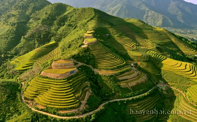 Mùa vàng ở Khe Táu