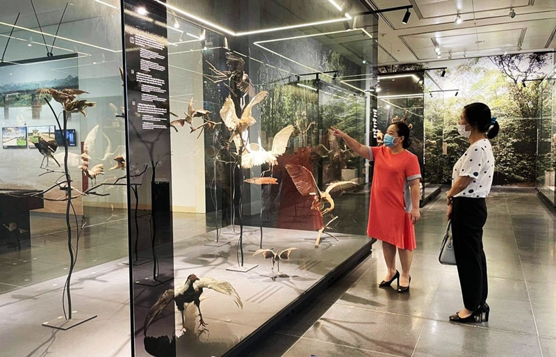 Bảo tàng đón khách trở lại trong điều kiện an toàn Bảo tàng đón khách trở lại trong điều kiện an toàn