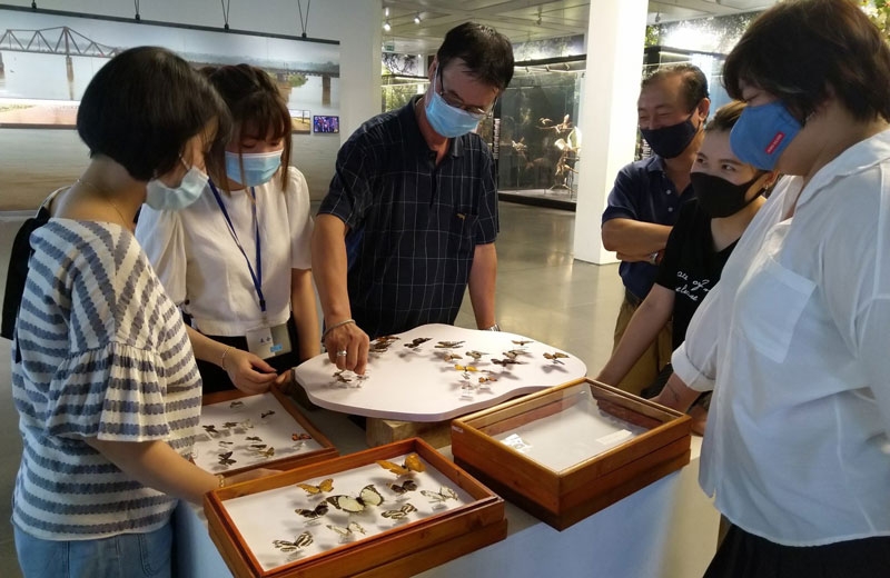 Bảo tàng đón khách trở lại trong điều kiện an toàn Bảo tàng đón khách trở lại trong điều kiện an toàn