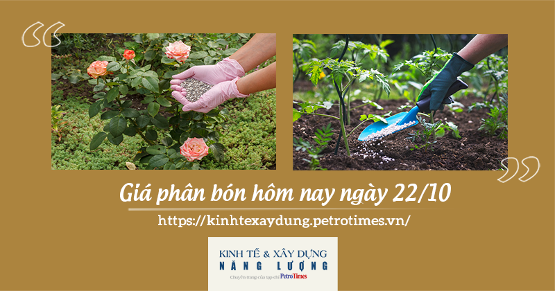 Giá phân bón hôm nay ngày 22/10: Duy trì ổn định
