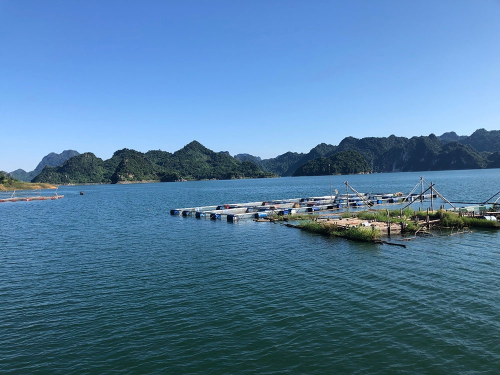 du thuyen song da tai sao khong