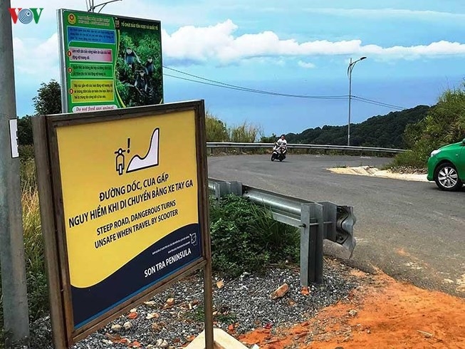 Cấp thẻ cho người dân, khách du lịch tham quan bán đảo Sơn Trà cap the cho nguoi dan khach du lich tham quan ban dao son tra