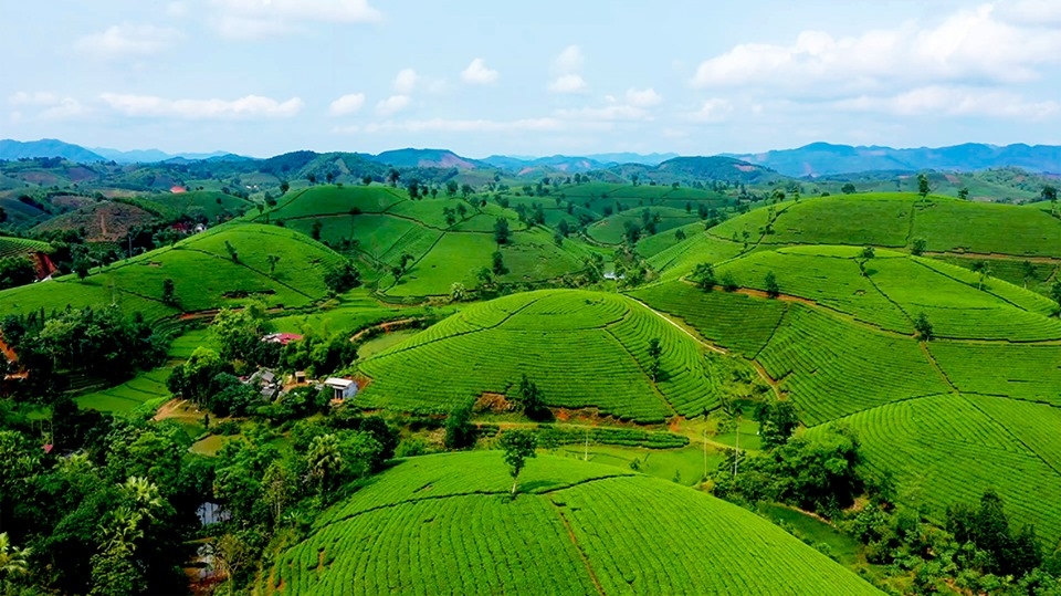 long coc kha cuu nhung diem den hap dan trong hanh trinh phototour