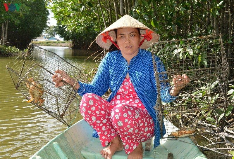 Các điểm du lịch Cà Mau “mặc áo mới” đón khách cac diem du lich ca mau mac ao moi don khach