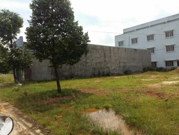 Anh trai ruột tặng đất cho hai vợ chồng em trai có được miễn thuế TNCN hay không?