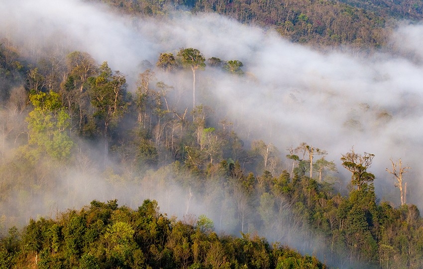 Huyền ảo mùa mây Y Tý