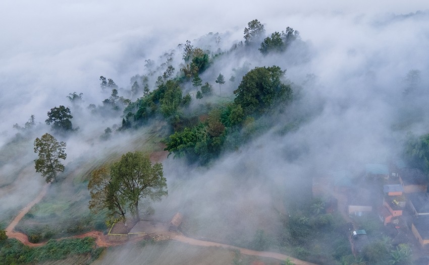 Huyền ảo mùa mây Y Tý