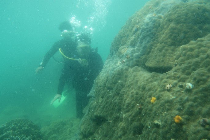 Du lịch xanh - Xu hướng tất yếu Du lịch xanh - Xu hướng tất yếu