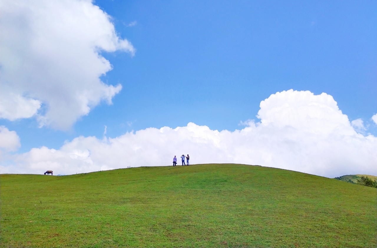 Thảo nguyên xanh bất tận tại Phan Thanh, Nguyên Bình Thảo nguyên xanh bất tận tại Phan Thanh, Nguyên Bình