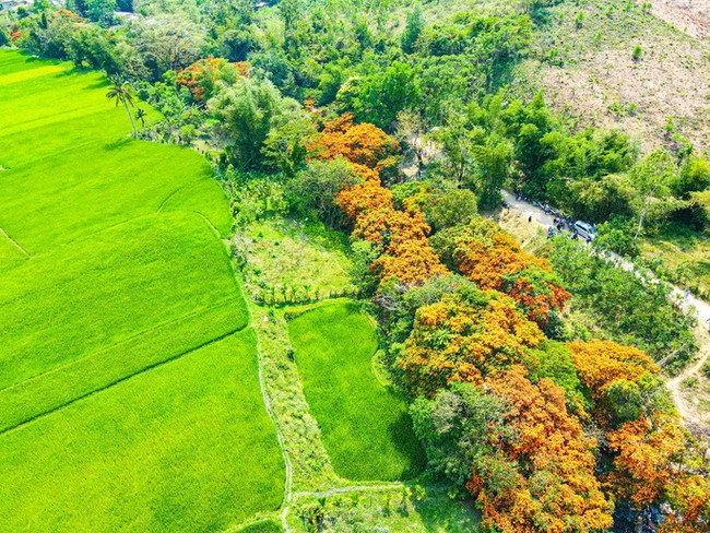 Vĩnh Thạnh: Miền đất hứa của du lịch Bình Định Vĩnh Thạnh: Miền đất hứa của du lịch Bình Định