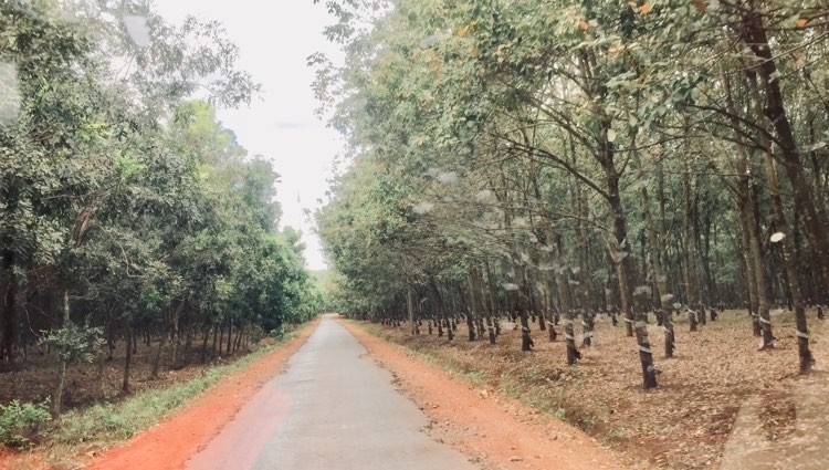 Lộc Ninh - Vùng đất biên giới Tây Nam giàu bản sắc Lộc Ninh - Vùng đất biên giới Tây Nam giàu bản sắc