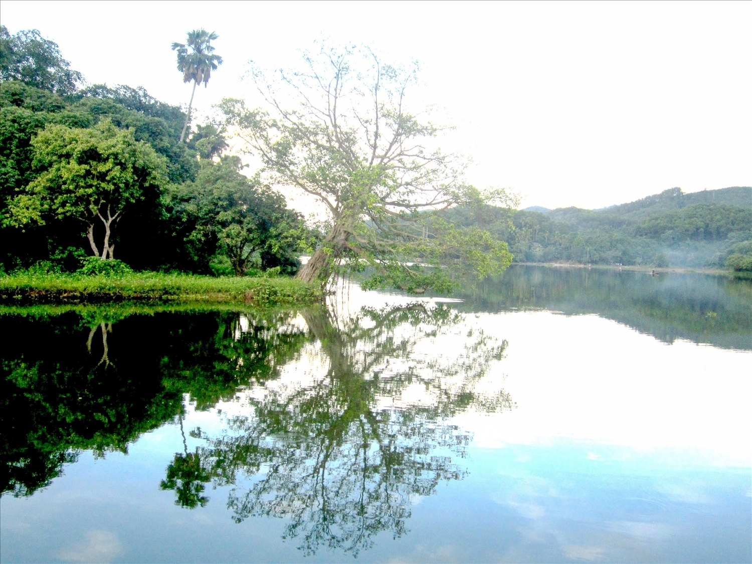 Chiêm ngưỡng đầm Ao Châu in bóng mây trời Chiêm ngưỡng đầm Ao Châu in bóng mây trời