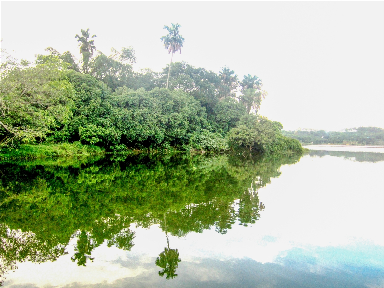 Chiêm ngưỡng đầm Ao Châu in bóng mây trời Chiêm ngưỡng đầm Ao Châu in bóng mây trời
