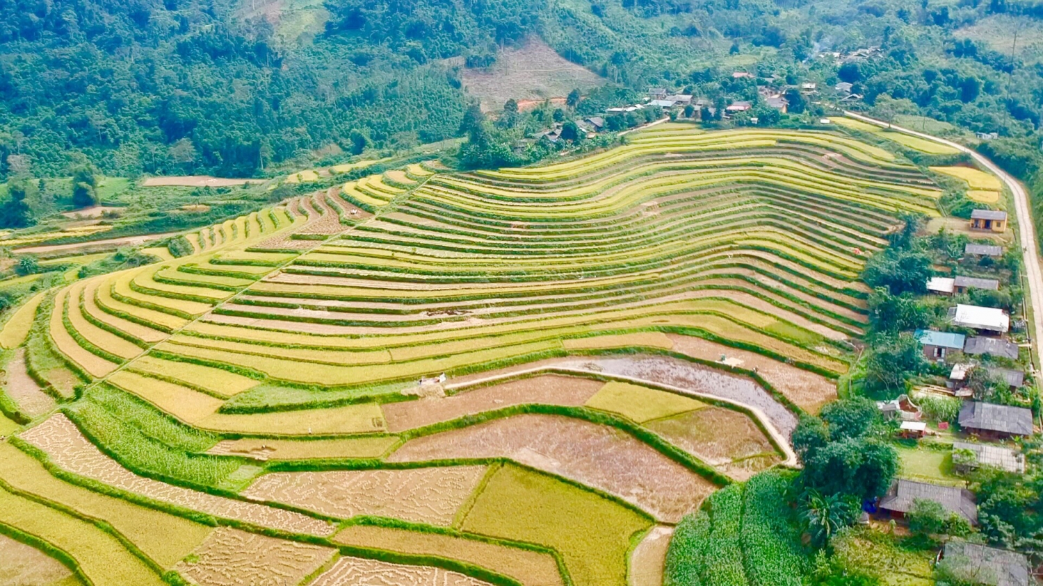 Phja Mạ - Điểm hấp dẫn du khách khám phá thiên nhiên Phja Mạ - Điểm hấp dẫn du khách khám phá thiên nhiên