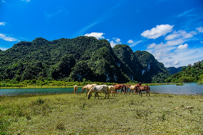 Chiêm ngưỡng vẻ đẹp Đồng Lâm
