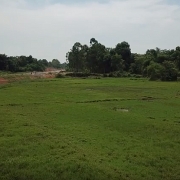 Khai mở thị trường bất động sản nông nghiệp: Cách tốt nhất để “giải cứu” những mảnh ruộng hoang