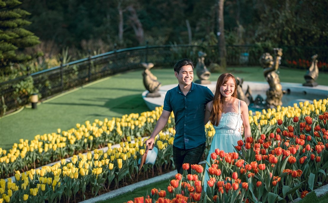 den ba na tet nay de chiem nguong 15 trieu bong tulip khoe sac dieu ky