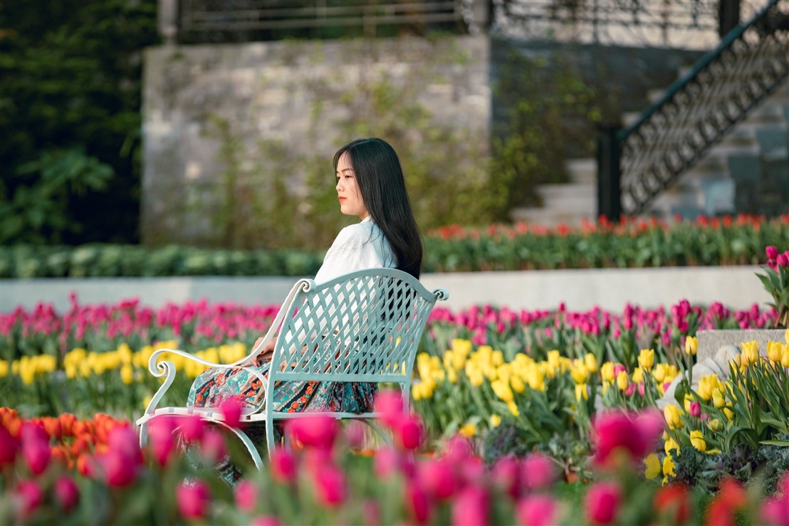 den ba na tet nay de chiem nguong 15 trieu bong tulip khoe sac dieu ky