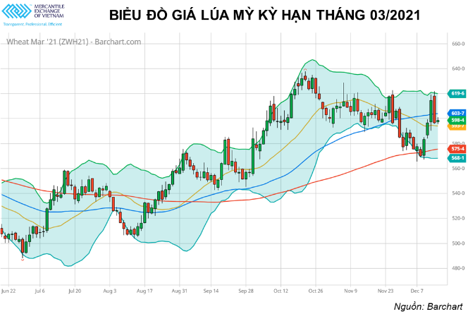 Đậu tương và lúa mỳ trên thế giới có thể sẽ vượt lên các mức kháng cự quan trọng