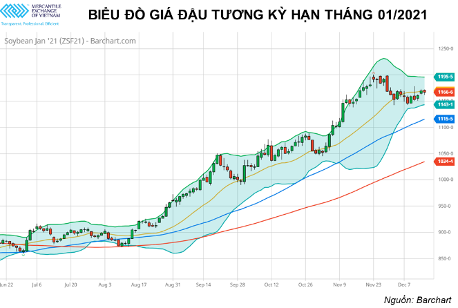 Đậu tương và lúa mỳ trên thế giới có thể sẽ vượt lên các mức kháng cự quan trọng