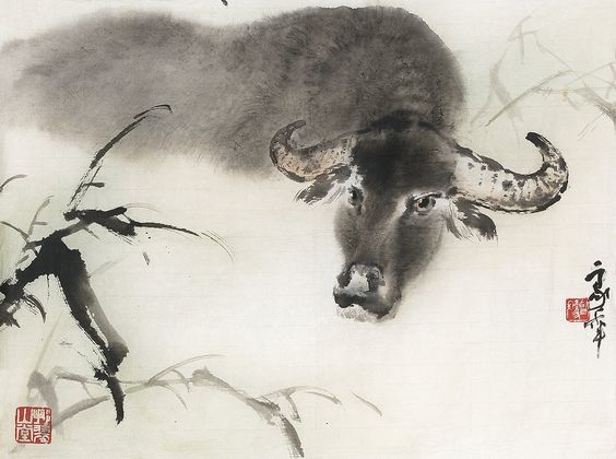 Năm Tân Sửu cùng tìm hiểu về con giáp đứng hàng 'lão nhị' trong 12 con giáp Năm Tân Sửu cùng tìm hiểu về con giáp đứng hàng 'lão nhị' trong 12 con giáp