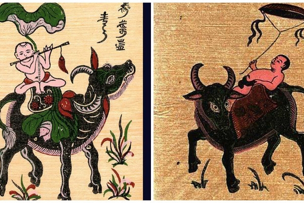 Năm Tân Sửu cùng tìm hiểu về con giáp đứng hàng 'lão nhị' trong 12 con giáp Năm Tân Sửu cùng tìm hiểu về con giáp đứng hàng 'lão nhị' trong 12 con giáp