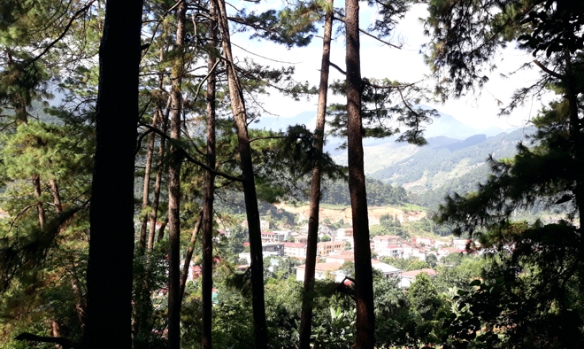 Đồi thông Eo Gió - Điểm đến hòa mình vào thiên nhiên