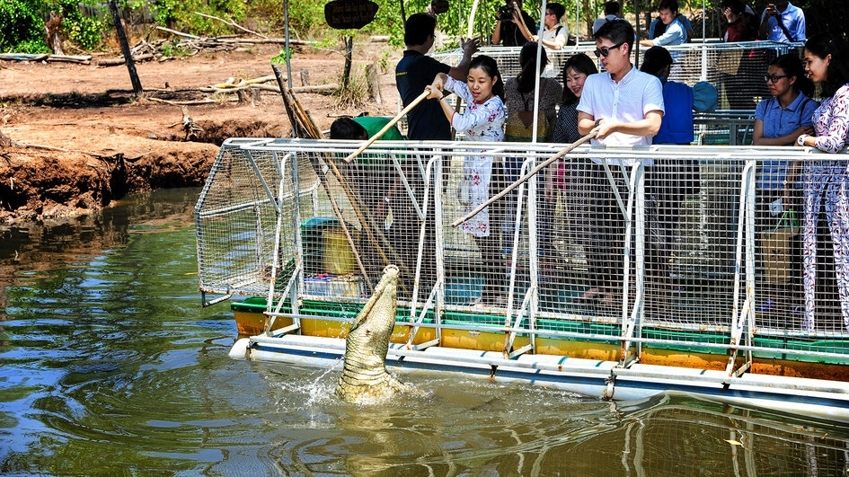 Khám phá Cần Giờ: 6 trải nghiệm không thể bỏ qua Khám phá Cần Giờ: 6 trải nghiệm không thể bỏ qua