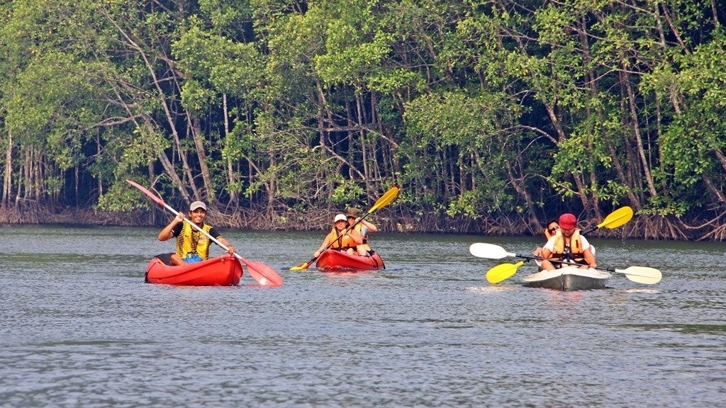 Khám phá Cần Giờ: 6 trải nghiệm không thể bỏ qua Khám phá Cần Giờ: 6 trải nghiệm không thể bỏ qua