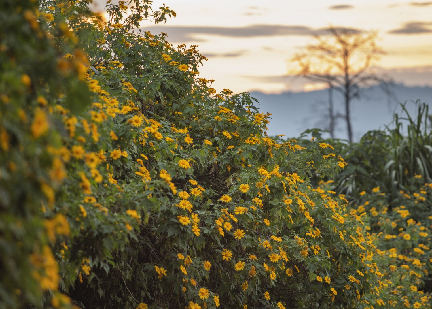 Trải nghiệm Tu Mơ Rông