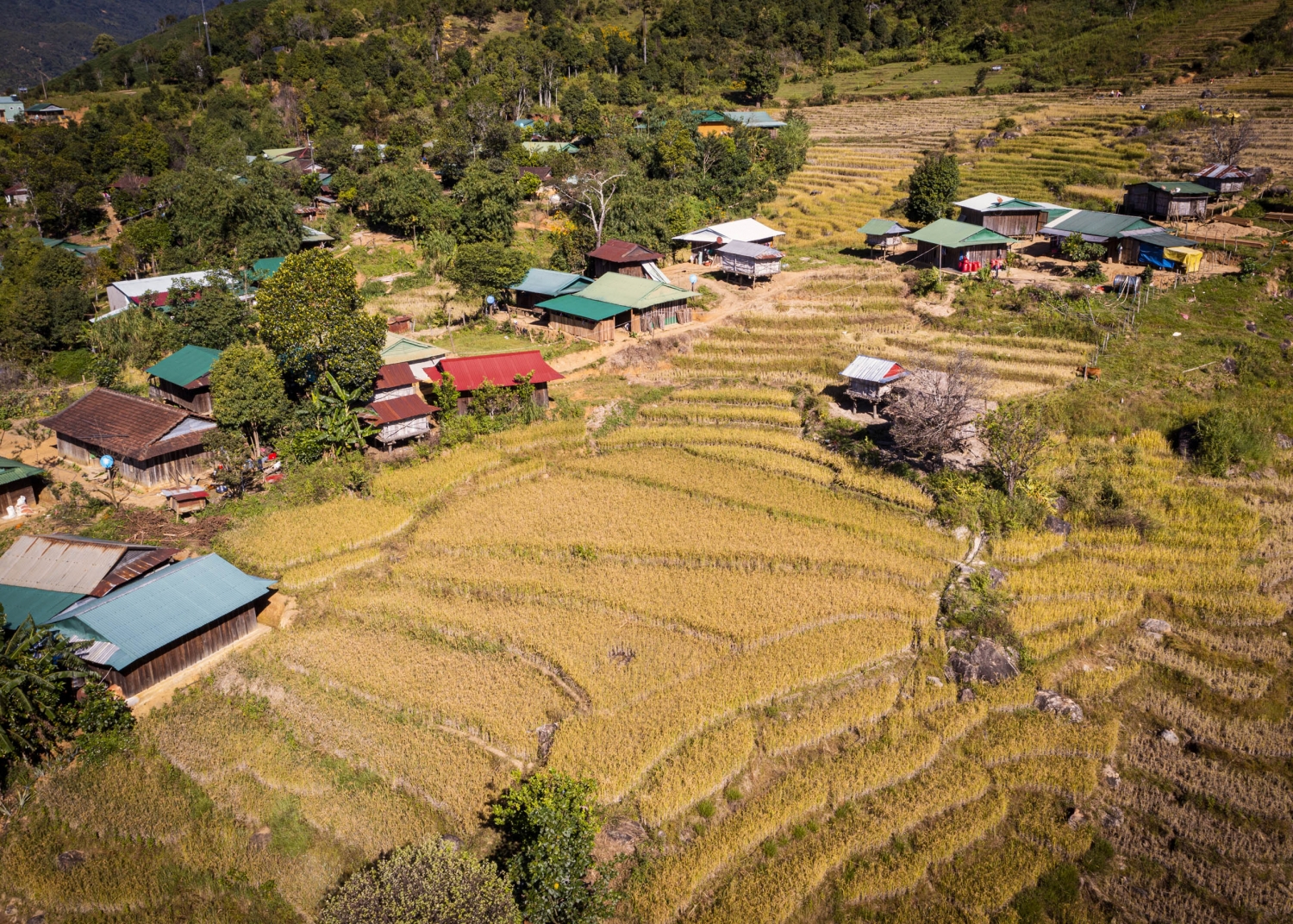 Trải nghiệm Tu Mơ Rông