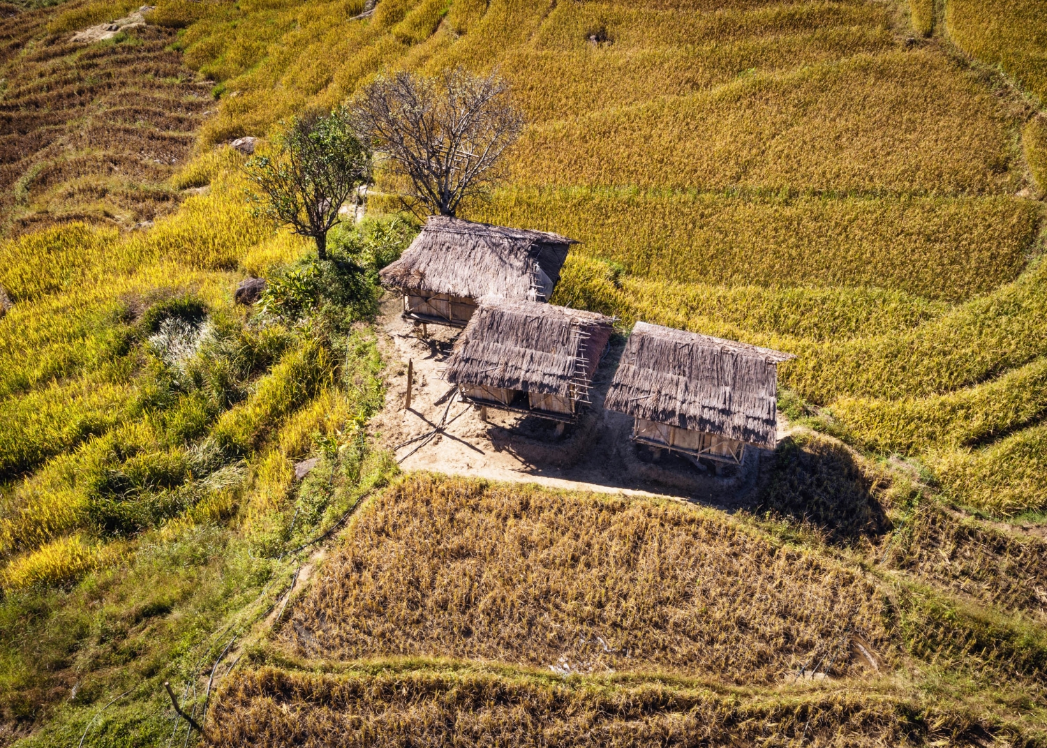 Trải nghiệm Tu Mơ Rông