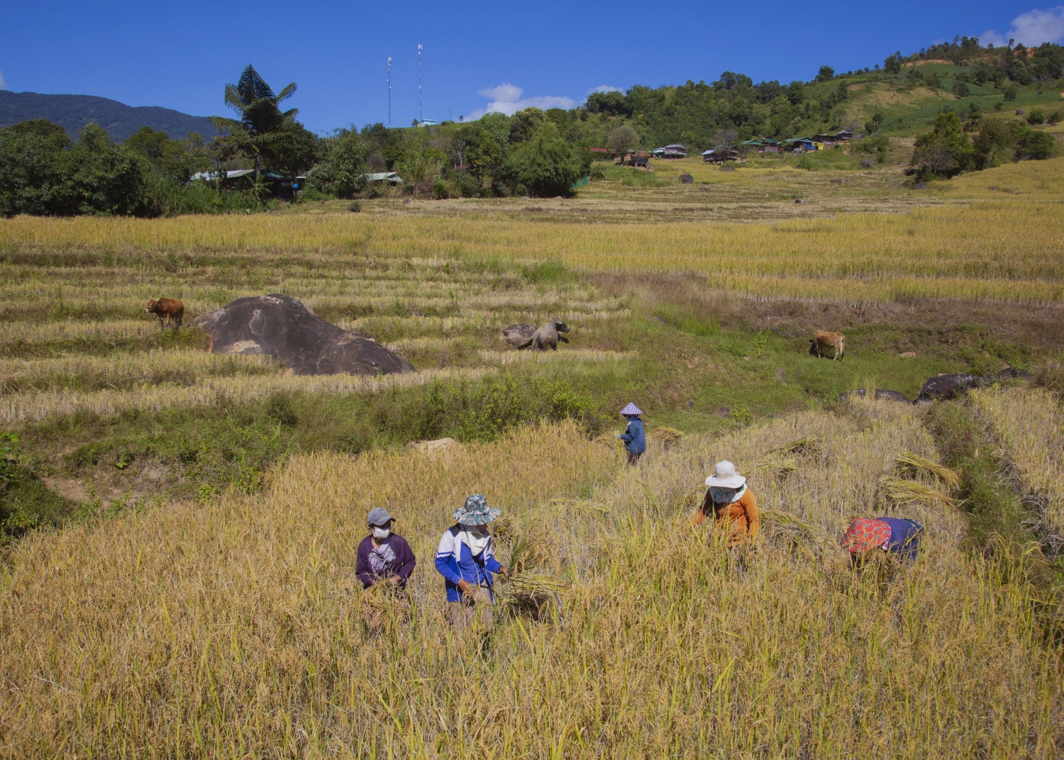 Trải nghiệm Tu Mơ Rông