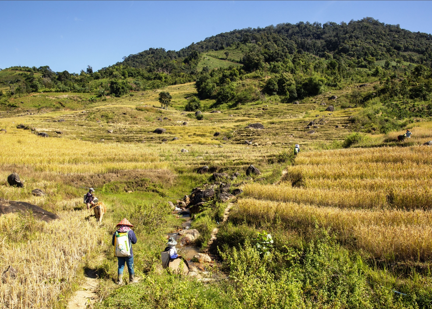 Trải nghiệm Tu Mơ Rông