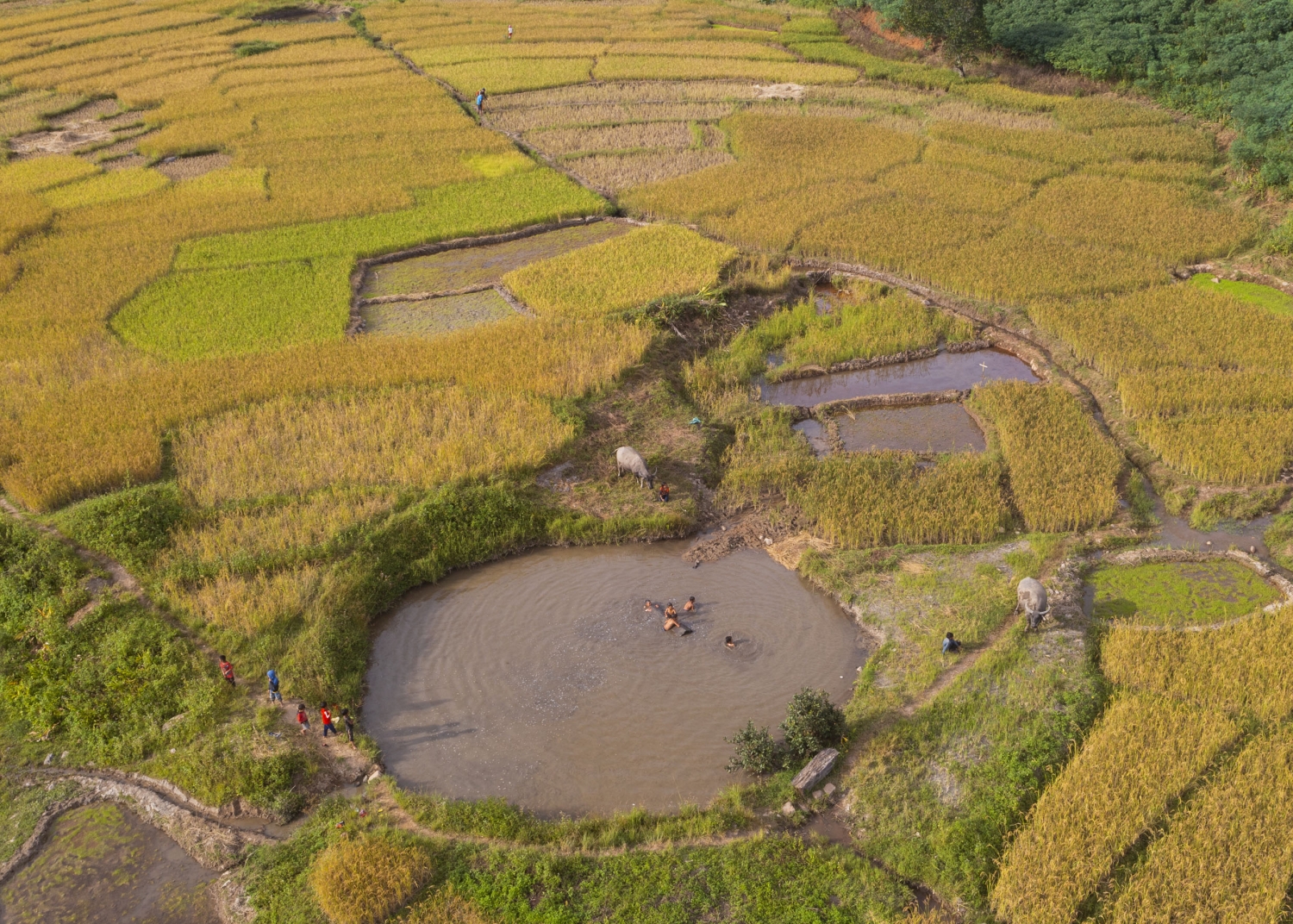 Trải nghiệm Tu Mơ Rông
